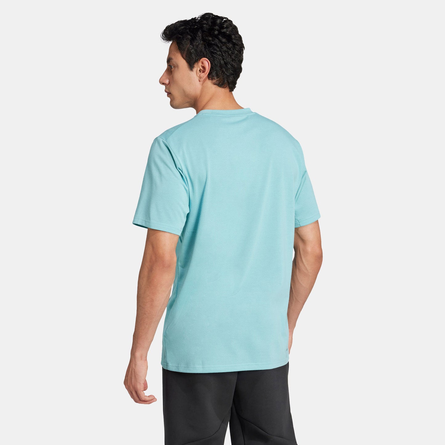 adidas Men Fall Basic Crew - Teal